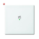 B&J2CKA006220A0358 / Wippe 1-fach, mit Symbol...