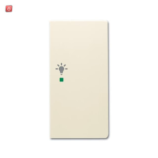 B&J2CKA006220A0407 / Wippe 2-fach rechts, mit Symbol "Licht" / EAN 4011395202524