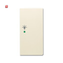 B&J2CKA006220A0407 / Wippe 2-fach rechts, mit Symbol...
