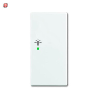 B&J2CKA006220A0365 / Wippe 2-fach rechts, mit Symbol "Licht" / EAN 4011395192139
