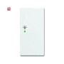 B&J2CKA006220A0365 / Wippe 2-fach rechts, mit Symbol "Licht" / EAN 4011395192139