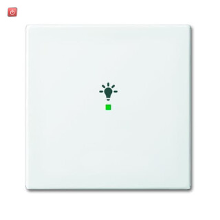 B&J2CKA006220A0356 / Wippe 1-fach, mit Symbol "Licht" / EAN 4011395192023