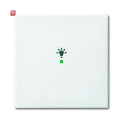 B&J2CKA006220A0356 / Wippe 1-fach, mit Symbol...