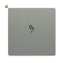 B&J2CKA006220A0434 / Wippe 1-fach, mit Symbol...