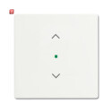 B&J2CKA006220A0483 / Wippe 1-fach, mit Symbol...