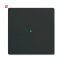 B&J2CKA006220A0498 / Wippe 1-fach, ohne Bedruckung /...