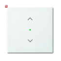 B&J2CKA006220A0357 / Wippe 1-fach, mit Symbol...