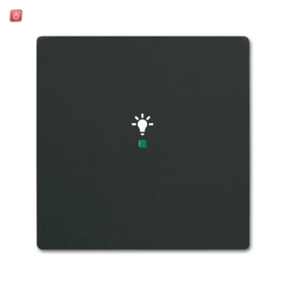 B&J2CKA006220A0499 / Wippe 1-fach, mit Symbol "Licht" / EAN 4011395203293