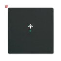 B&J2CKA006220A0499 / Wippe 1-fach, mit Symbol...