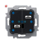 B&J2CKA006200A0043 / Sensoreinheit 2-fach, Wireless für Busch-free@home® / EAN 4011395215241