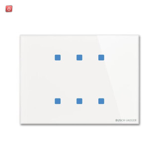 B&J2CKA006300A1618 / TB/U6.7.11-CG Bedienelement 6f / EAN 4011395256336