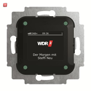 B&J2CKA008200A0275 / Busch-Radio DAB+ / EAN 4011395304914