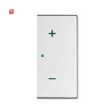 B&J2CKA006220A0738 / 6237-22-83 Wippe/R 2-fach,...