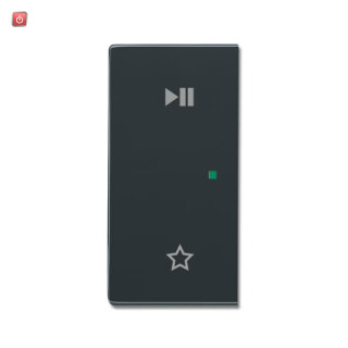 B&J2CKA006220A0733 / 6237-21-81 Wippe/L 2-fach,Play/Pause / EAN 4011395257364