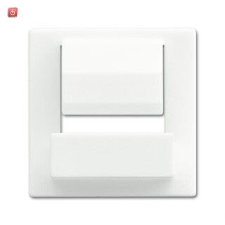 B&J2CKA006400A0062 / Zentralscheibe für Busch-powerDock / EAN 4011395224823
