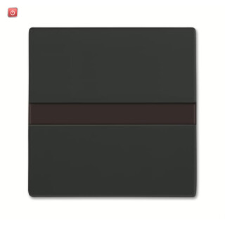 B&J2CKA006800A2882 / 64765-81 Komfortschalter flex mit Orientierungslicht / EAN 4011395294772