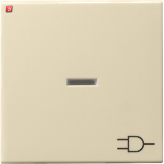GIR20901 / Wippe Kontrollf. + Symb. Steckd. System 55 Cremeweiß / EAN 4010337209010