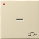 GIR20901 / Wippe Kontrollf. + Symb. Steckd. System 55...
