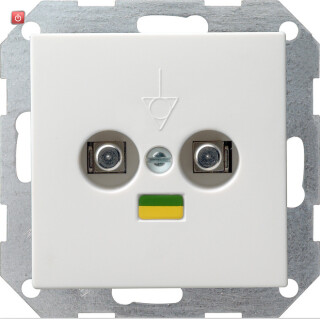 GIR40503 / Potenzialausgleich-Dose 2f System 55 Reinweiß / EAN 4010337405030