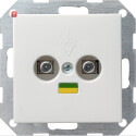 GIR40503 / Potenzialausgleich-Dose 2f System 55...