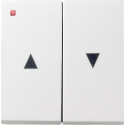 GIR29403 / Wippe 2f Pfeil System 55 Reinweiß / EAN...