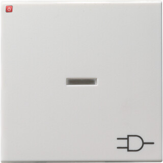 GIR20903 / Wippe mit Kontrollfenster und Symbol Steckdose, System 55 reinweiss gl / EAN 4010337209034