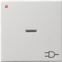 GIR20903 / Wippe mit Kontrollfenster und Symbol...