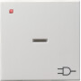 GIR20903 / Wippe mit Kontrollfenster und Symbol Steckdose, System 55 reinweiss gl / EAN 4010337209034