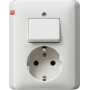 GIR17603 / SCHUKO/Wechselschalter, System 55 reinweiss glänzend / EAN 4010337176039