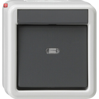 GIR10630 / Wippschalter AusWe WG AP Grau / EAN 4010337106302