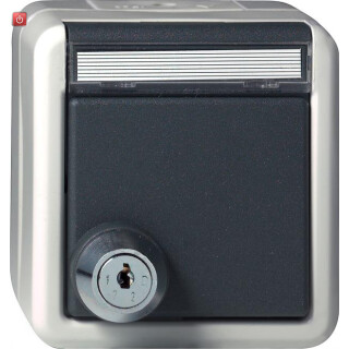 GIR44730 / Steckdose, grau, Aufputz AP, 1 Fach, IP44 / EAN 4010337447306