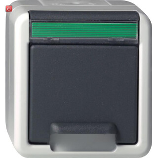 GIR17530 / Steckdose, grau, Aufputz AP, 1 Fach, IP44 / EAN 4010337175308