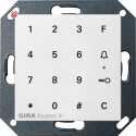 GIR260503 / Gira Keyless In Codetastatur System 55...