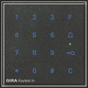 GIR260567 / Gira Keyless In Codetastatur Gira TX_44 (WG...