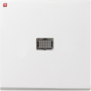 GIR29803 / Wippe Kontrollf. groß System 55 Reinweiß / EAN 4010337298038