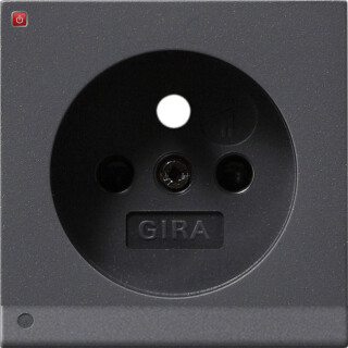 GIR94728 / Abd. Steckd. Erdstift LED-Leuchte + SH System 55 Anthrazit / EAN 4010337026037