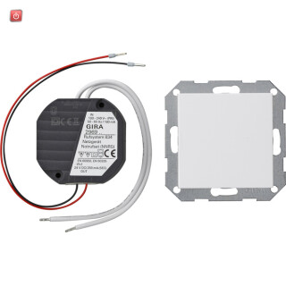 GIR296903 / Netzgleichrichter UP 250 mA System 55 Reinweiß / EAN 4010337071518