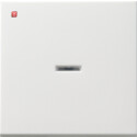 GIR91427 / Wippe Tast-Kontroll System 55 Reinweiß m...