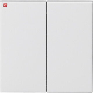 GIR2991201 / Wippe 2f gerade Gira E22 Reinweiß / EAN 4010337065937
