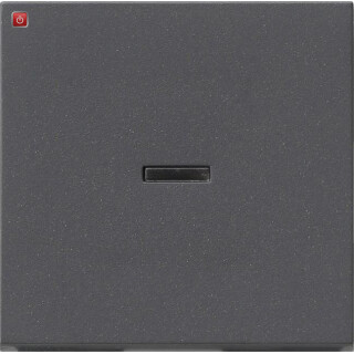 GIR91428 / Wippe Tast-Kontroll System 55 Anthrazit / EAN 4010337914280