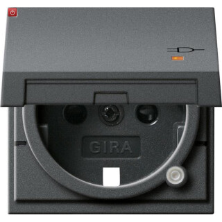 GIR94228 / Abd. SCHUKO KD Kontroll + SH System 55 Anthrazit / EAN 4010337942283