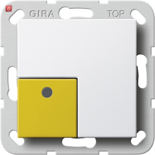 GIR591003 / Anwesenheitst. GE Plus System 55 Reinweiß / EAN 4010337085829