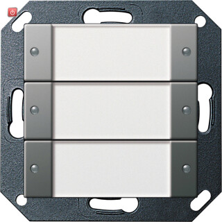 GIR2003600 / Tastsens.2 3f 24 V pot.frei BSF System 55 Edelstahl / EAN 4010337020363