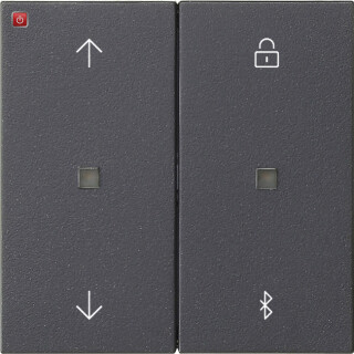 GIR536728 / S3000 Jal.- + Schaltuhr BT System 55 Anthrazit / EAN 4010337027546