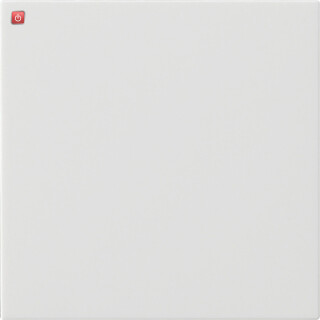 GIR536027 / S3000 Bedienaufs. System 55 Reinweiß m / EAN 4010337027232