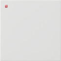 GIR536027 / S3000 Bedienaufs. System 55 Reinweiß m...