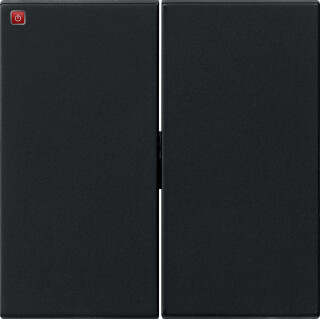GIR295005 / Wippe 2f System 55 Schwarz m / EAN 4010337038078