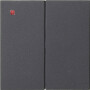 GIR536228 / S3000 Bedienaufs. 2f System 55 Anthrazit / EAN 4010337063902