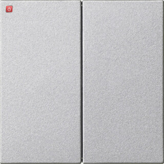 GIR536226 / S3000 Bedienaufs. 2f System 55 F Alu / EAN 4010337063889