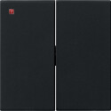 GIR915005 / Wippe 2f Tastschalter System 55 Schwarz m /...